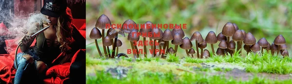 MDMA Premium VHQ Бронницы